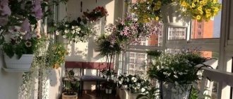 Balustrades de balcon