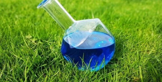 Biodiesel des ordures