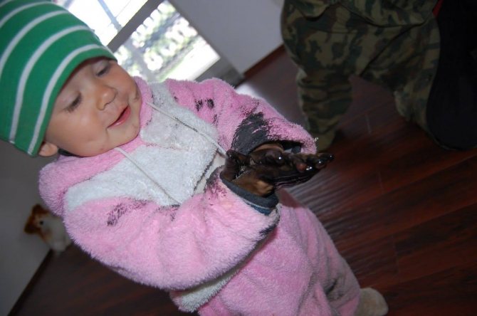 Pourquoi est-ce moins cher de chauffer une maison ? Chauffage pour un sou!