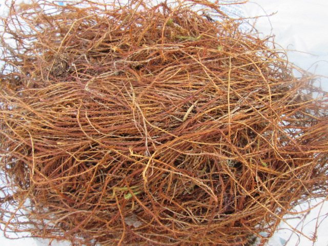 Comment isoler un blockhaus en bois? - CHAUFFER