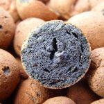 Qu'est-ce-que-l'argile expansée-Propriétés-production-application-et-prix-de-l'argile expansée-2