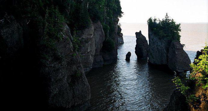 Quelle est la marée