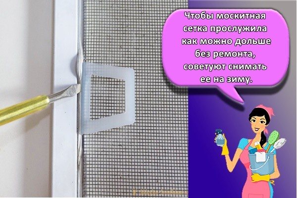 Pour que la moustiquaire dure le plus longtemps possible sans réparation, il est conseillé de la retirer pour l'hiver.