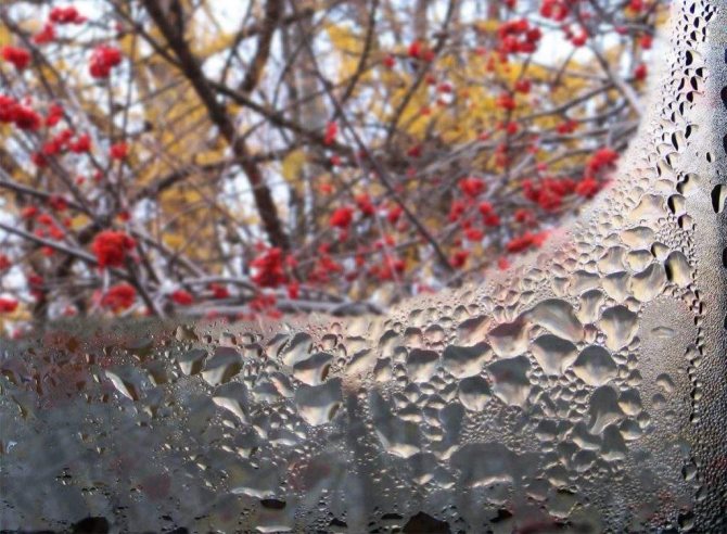 pour que les fenêtres ne gèlent pas dans les remèdes populaires de la maison