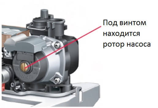 pompe de circulation d'une chaudière à gaz Protherm Gepard (Panther)
