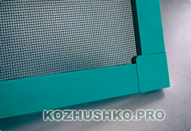 Moustiquaires colorées sur les fenêtres