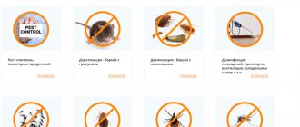 Dératisation par désinsectisation