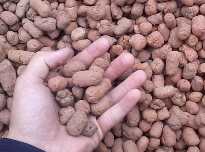 À quoi sert l'argile expansée: construction pour débutants