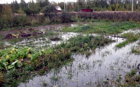 Drainage d'une zone à eau souterraine élevée
