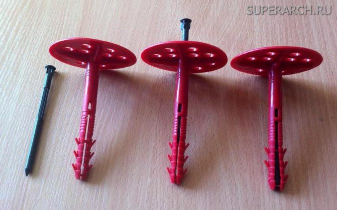 Champignon de cheville