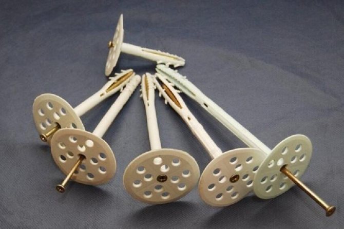 Champignon de cheville