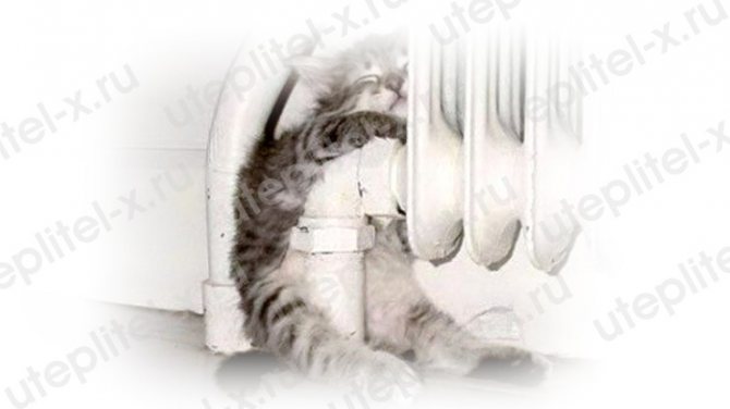 Isolation écologique pour la maison