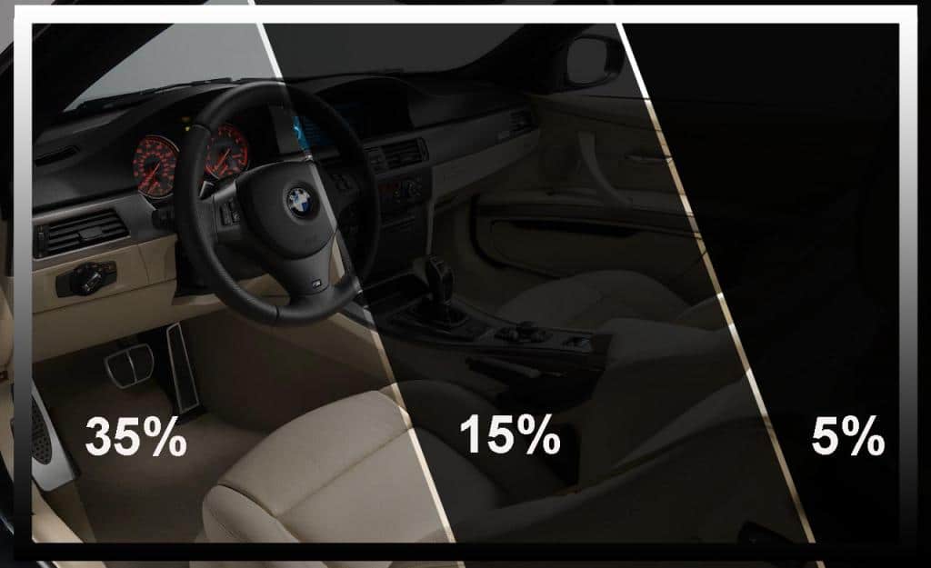 Photo 31: Comparaison de la teinture