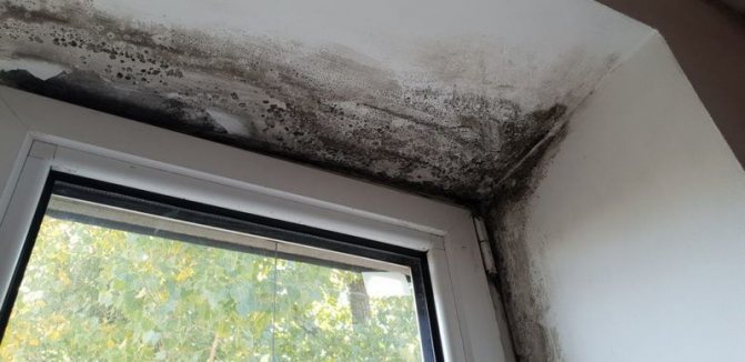 Photo: moisissure sur les pentes, résultat d'une mauvaise exécution du joint d'assemblage