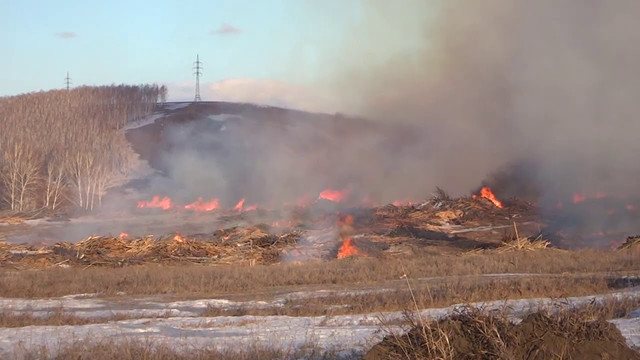 dépotoir de sciure en feu