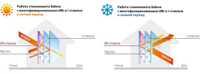 im lunettes caractéristiques