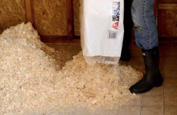 Comment isoler à moindre coût un poulailler pour l'hiver