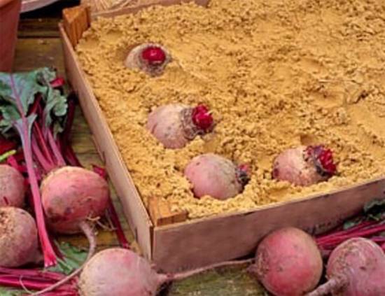 Comment conserver les légumes sur le balcon en hiver: nous fabriquons une boîte thermo avec et sans chauffage