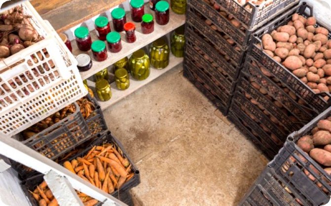 Comment conserver les légumes sur le balcon en hiver: nous fabriquons une boîte thermo avec et sans chauffage