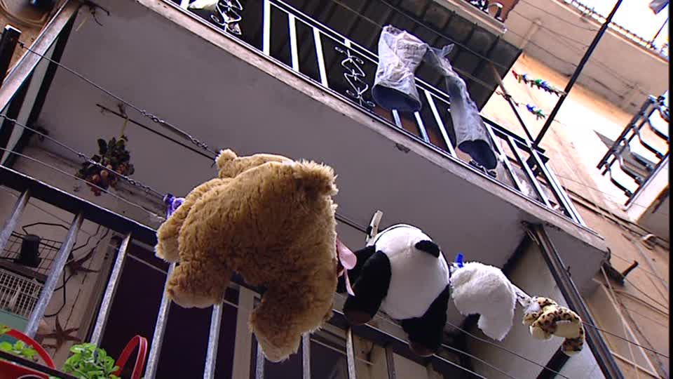 Comment se débarrasser des pigeons sur le balcon, le rebord de la fenêtre