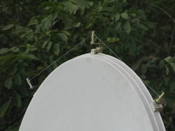 Comment se débarrasser des pigeons sur le balcon, le rebord de la fenêtre