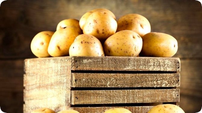 Comment faire une boîte pour conserver les légumes sur le balcon