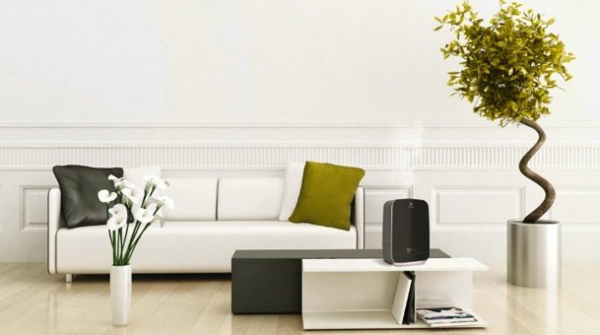 Quelles caractéristiques doivent être prises en compte lors du choix d'un humidificateur pour la maison