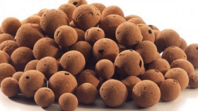 photo d'argile expansée