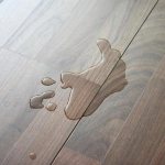 photos de linoléum humide