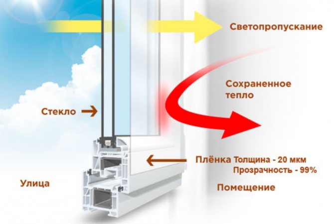 image de film pour animaux de compagnie