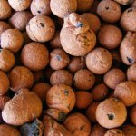 argile expansée comme revues d'isolation de sol