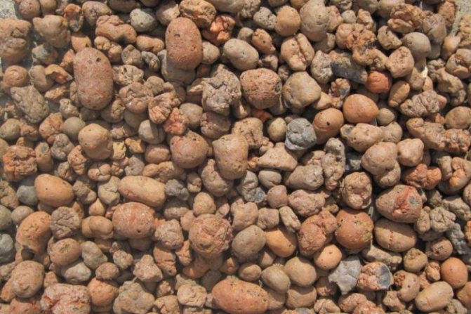 Argile expansée en tant qu'examens d'isolation de sol. Propriétés de l'argile expansée comme isolant