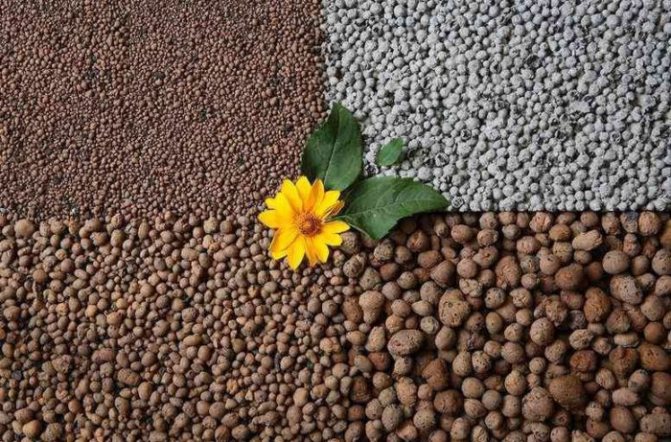 Argile expansée en tant qu'examens d'isolation de sol. Propriétés de l'argile expansée comme isolant