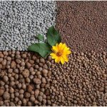 Argile expansée en tant qu'examens d'isolation de sol. Propriétés de l'argile expansée comme isolant