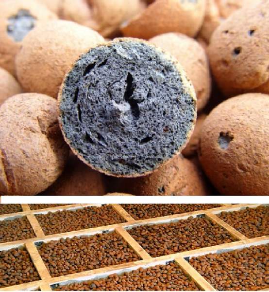 Argile expansée en tant qu'examens d'isolation de sol. Propriétés de l'argile expansée comme isolant