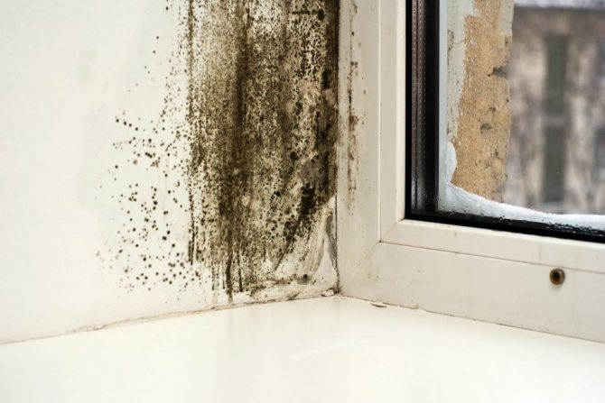 La condensation est l'une des raisons de l'apparition de champignons