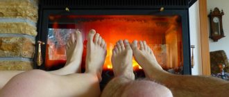 Chaudière à biocarburant pour la maison