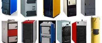 chaudière en fonte à combustible solide à double circuit