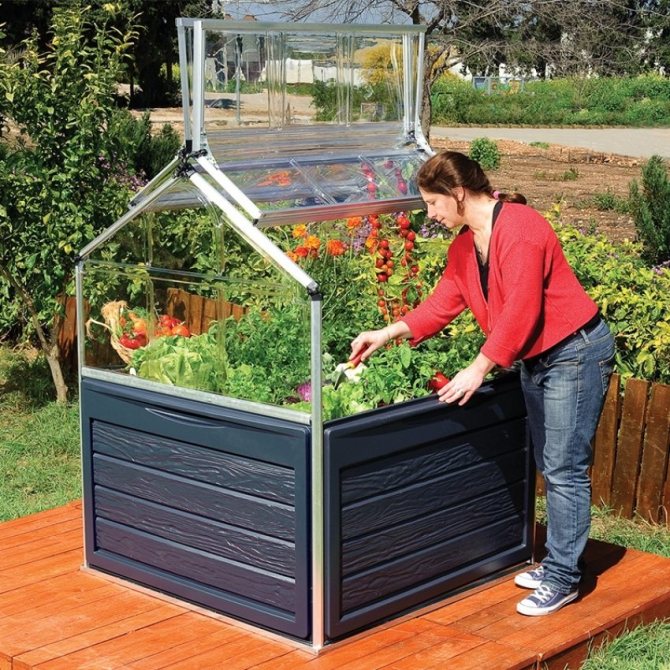 Mini serre à partir d'un tuyau en forme