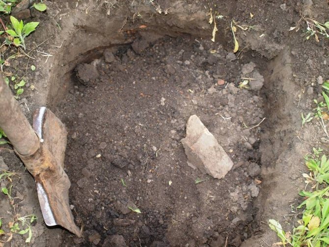 Mini serre de bricolage. 700 photos, instructions étape par étape