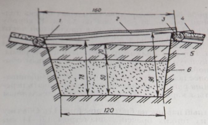 Mini serre de bricolage. 700 photos, instructions étape par étape