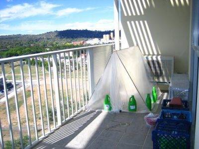 Mini serre de bricolage. 700 photos, instructions étape par étape