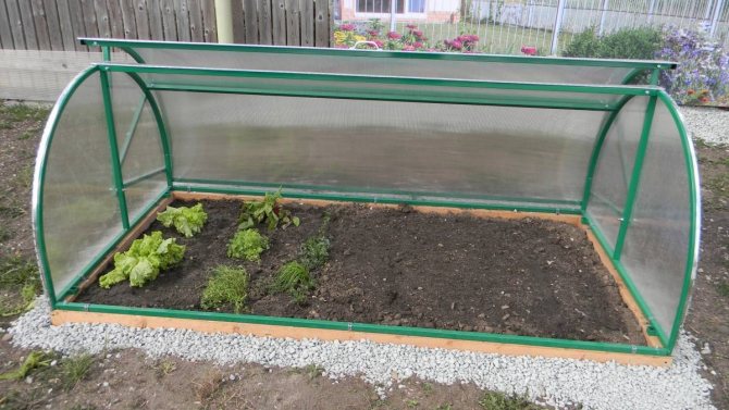 Mini serre de bricolage. 700 photos, instructions étape par étape