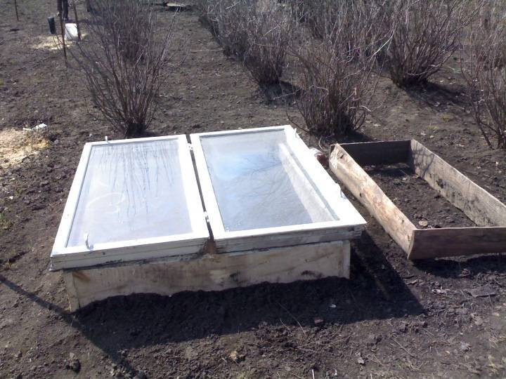 Mini serre de bricolage. 700 photos, instructions étape par étape