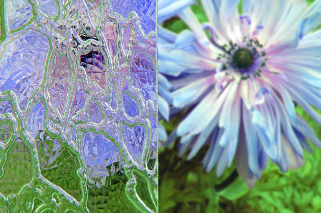 Lavage des vitres, nettoyage des fenêtres à double vitrage