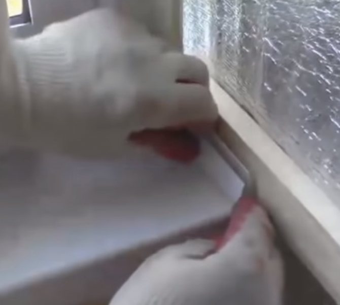 installation du profil de départ 2