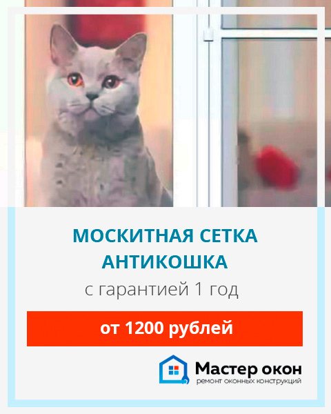 Moustiquaire anti-chat