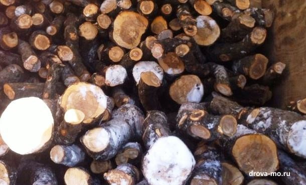 Est-il possible de chauffer le poêle avec du bois de pommier