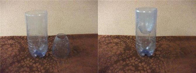 Souricière d'une bouteille en plastique