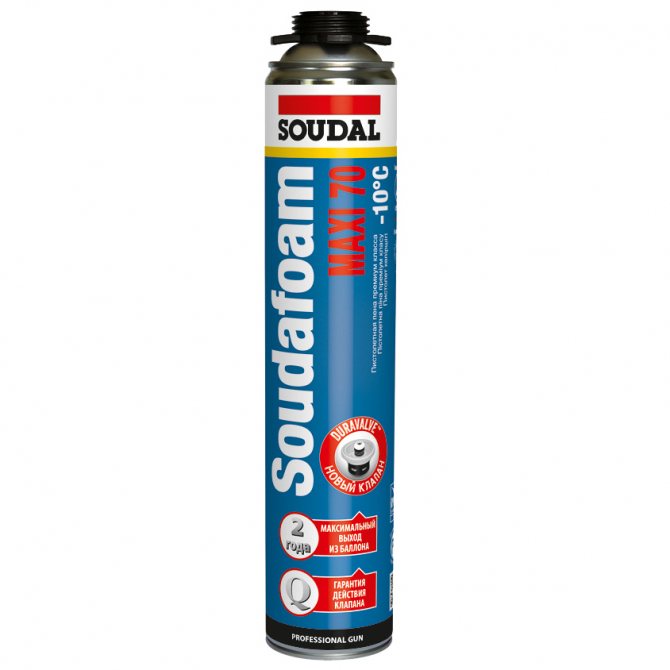 La mousse nous aide à construire et à vivre